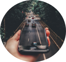 pexels matheus bertelli 799443